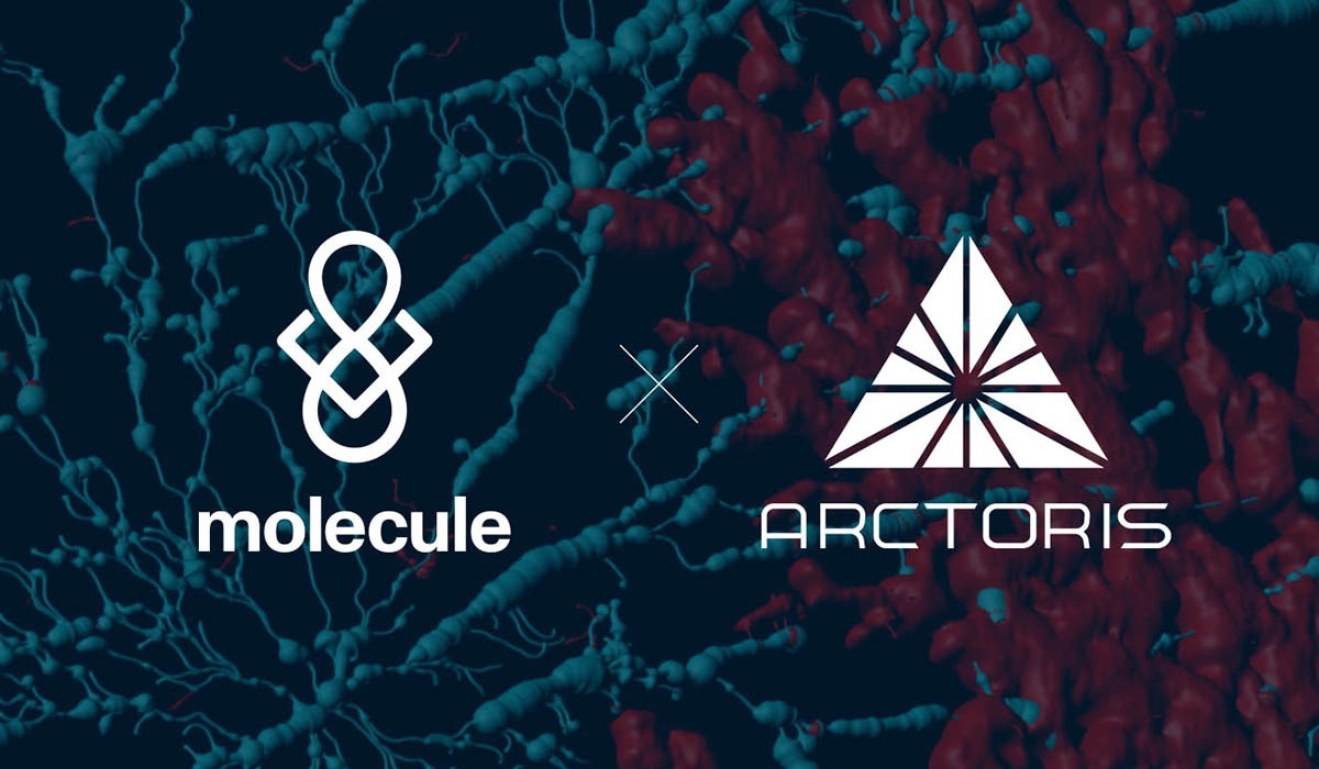 Molecule and Arctoris announce partnership to tackle the innovation crisis in drug development.